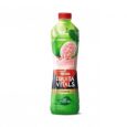 Nestle Fruita Vitals Guava Juice 1 ltr
