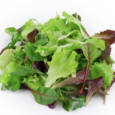 Salad Mix 120 g