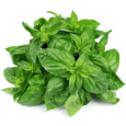 Basil 50 g