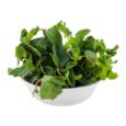 Mint/Pudina 1bunch