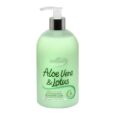 Astonish Aloe Vera & Lotus Anti Bacterial Hand Wash 500 ml