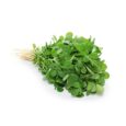 Fenugreek/Methi 1 kg