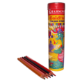 Gold Fish Color Pencil Metal Box 24 pcs