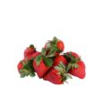 Premium Strawberry 450 g