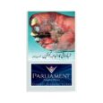 Parliament Night Blue Cigarette 20 Cig