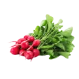 Red Radish/Lal Moli bunch