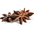 Star Ani Seed 25 g