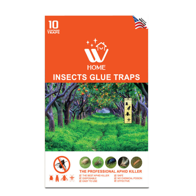 Home Insects Glue Traps 10 traps - Image 1